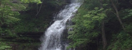 Kanawha Falls is one of Waterfalls - 2.