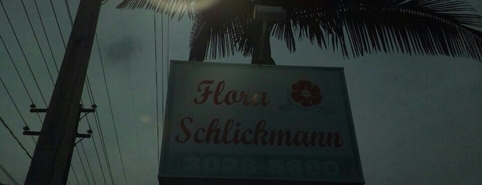 Flora Schlickmann is one of Tempat yang Disukai Roy.