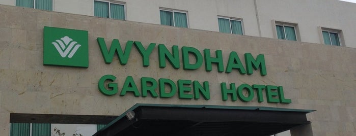 Wyndham Garden Irapuato is one of สถานที่ที่ Abel ถูกใจ.