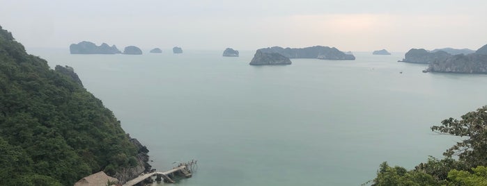 Monkey Island Resort is one of Vietnam 2013 feb.