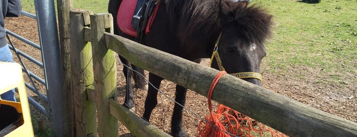 Hounslow Urban Farm is one of London.