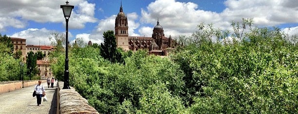 Puente Romano is one of Beginner's Guide to : Salamanca.