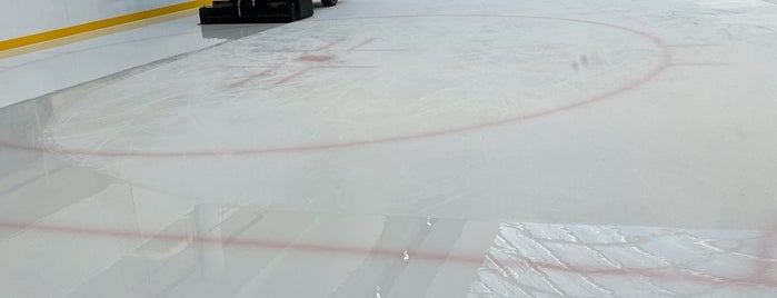 The Rink is one of Lizzieさんのお気に入りスポット.