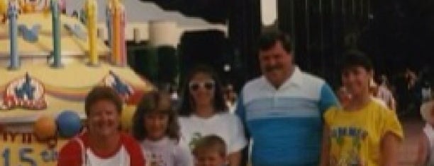 Disney World is one of Julie's things to do.