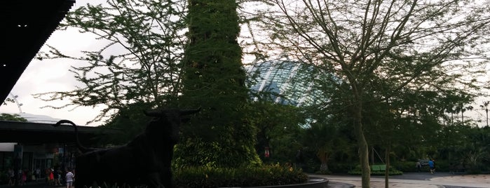 Gardens by the Bay is one of Lugares favoritos de Neal.