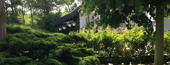 Markus S Liked Places