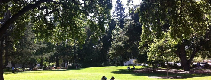 Pioneer Park is one of Outdoors SF Bay.
