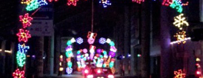 Gift Of Lights Texas Motor Speedway is one of สถานที่ที่ Terry ถูกใจ.