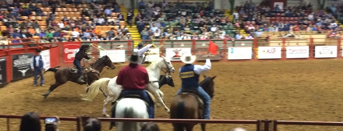 Stockyards Championship Rodeo is one of Texas.
