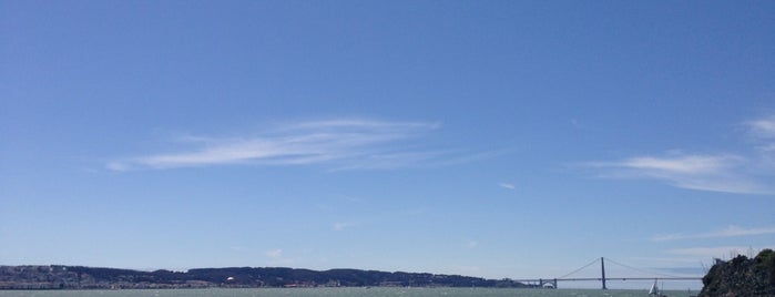 Blue & Gold Angel Island / Tiburon Ferry is one of Nadiaさんのお気に入りスポット.