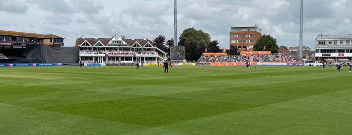 The County Ground is one of Cricket Grounds around the world.
