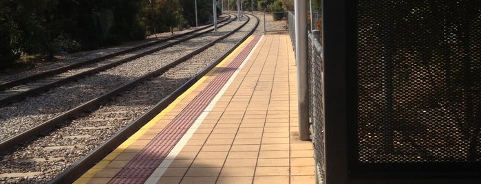 Tram Stop 13 Glengowrie is one of Glenelg Tram Line.