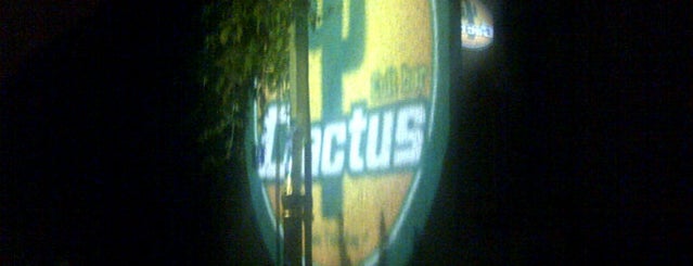 Cactus Bar is one of Moja mesta.