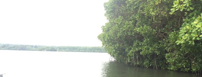 Koggala Lake is one of Sri Lanka.