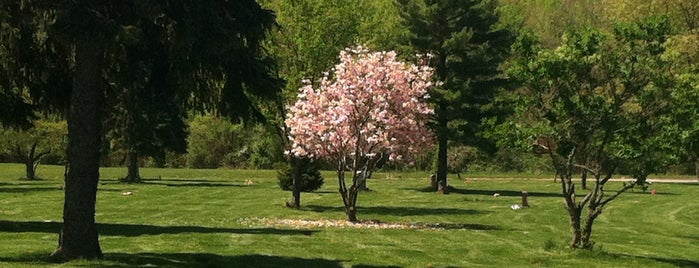 All Souls Cemetery is one of CLE.