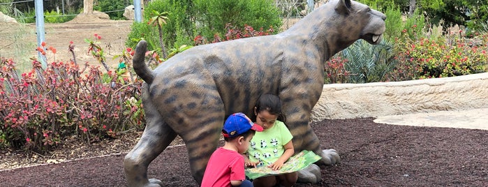 Big Cat Trail is one of San Diego Zoo.