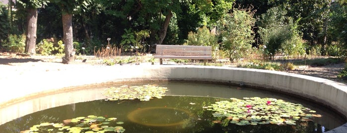 Jardin Botanique de la Faculté de Pharmacie is one of Angers.