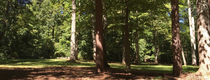 Country Park is one of Greensboro to do list.