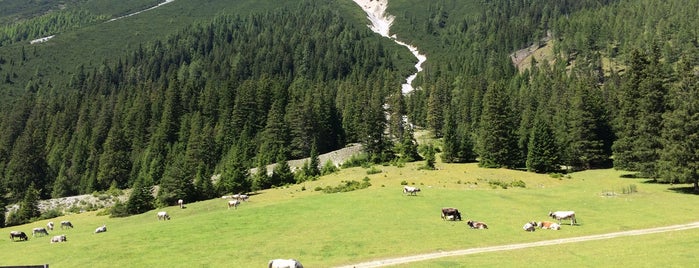 Ochsenalm is one of Tirol / Österreich.