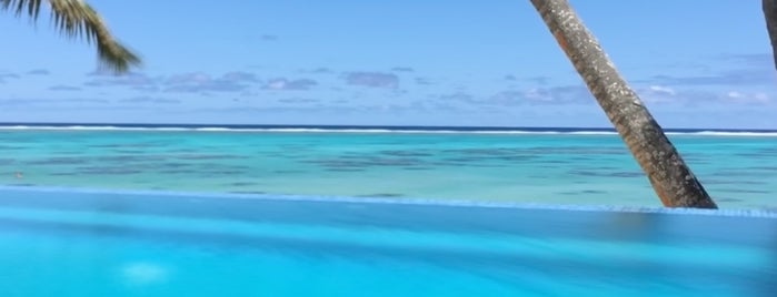 Little Polynesian, Pool Area is one of Locais curtidos por Artemy.