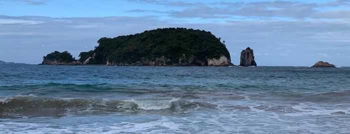 Hahei Holiday Resort is one of Lugares favoritos de Tristan.