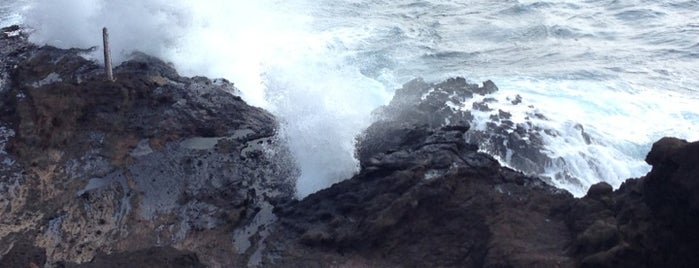Hālona Blowhole Lookout is one of 2014 Oahu.