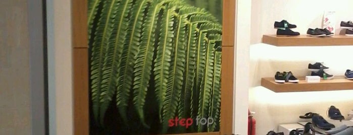 Step Top is one of STEP TOP shops.