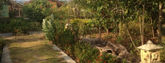 บ้านต้นไม้ is one of Tempat yang Disukai Yodpha.