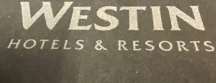 The Westin Southfield Detroit is one of places i go.