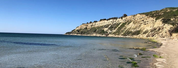 V Beach - Kalealtı Sahil is one of Gelibolu Plaj.