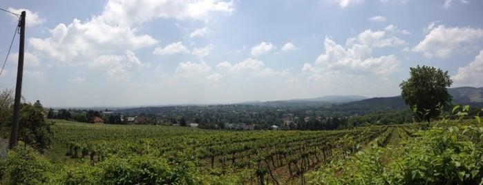 Maurer Berg is one of Lieux qui ont plu à Karl.