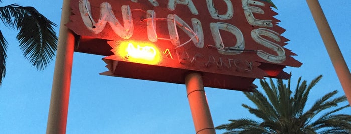 Trade Winds Motel is one of Neon/Signs S. California.