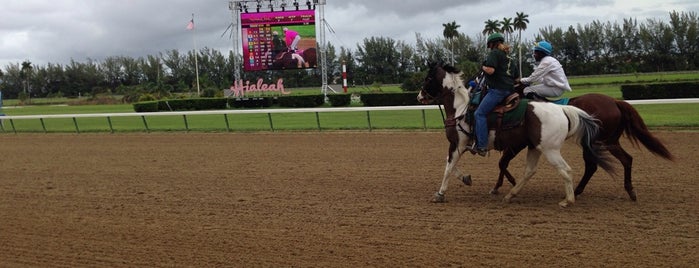 Hialeah Park Race Track is one of MIA.