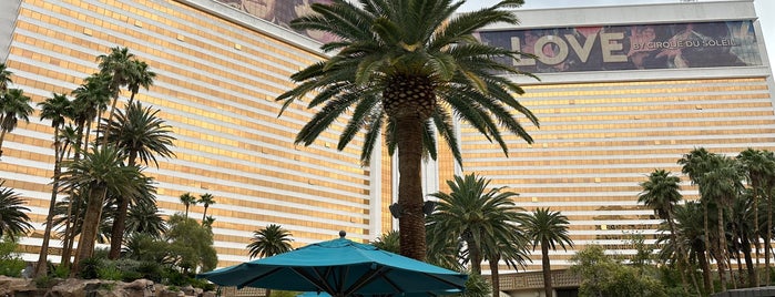 Oasis at The Mirage is one of Lieux qui ont plu à АЛЕНА.