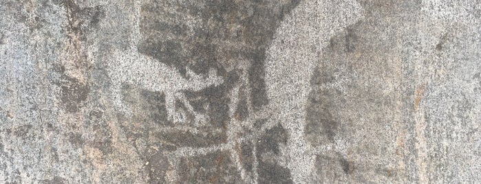 Petroglyphs of the White Sea is one of Lieux qui ont plu à Робер.