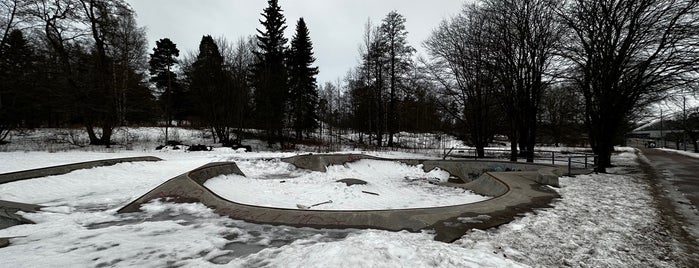 Eläintarhan skeittipuisto, Micropolis Skate Park is one of Skate Parks Finland.