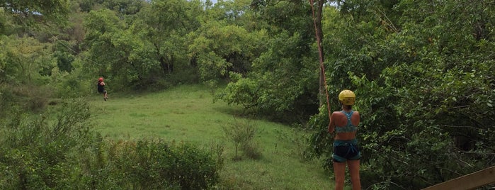 Kipu 1800' Zipline is one of Favorite Hawaiian spots.