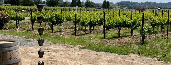 Amista Vineyards is one of Napa + Sonoma.