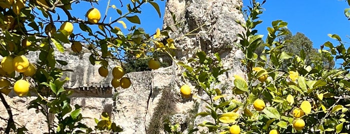 Latomia del Paradiso is one of Sicily.