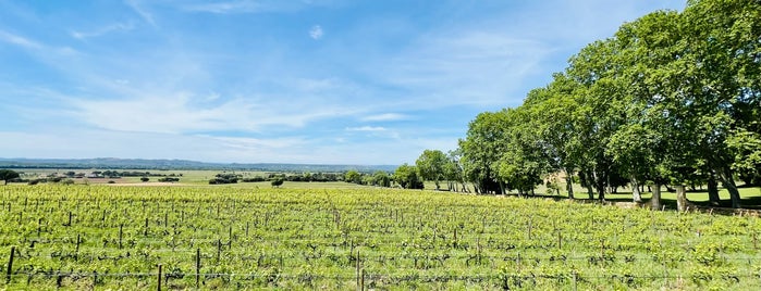 Château La Nerthe is one of Best Provence.