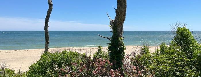 Wasque Beach is one of Martha’s Vineyard.