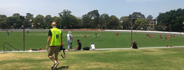 Hurstville Oval is one of Steven's liked places.