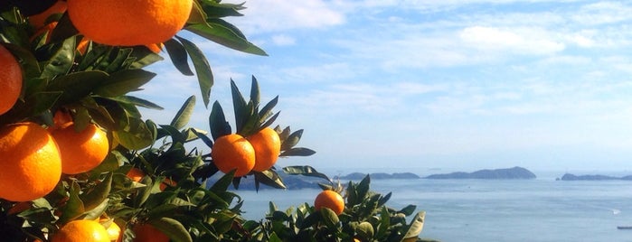 シトラスパーク瀬戸田 is one of しまなみ海道 Overseas Highway “Shimanami Kaido”.