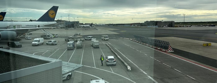 Lufthansa Panorama Lounge A26 is one of Hidden jewels.