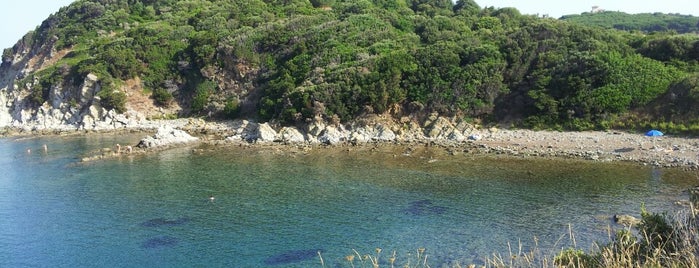 Spiaggia di Baratti is one of Neapol.