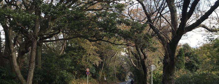 湘南平 子供の森 is one of 鎌倉逗子葉山.