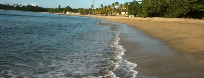 Turtle Beach is one of Tobago Spots.