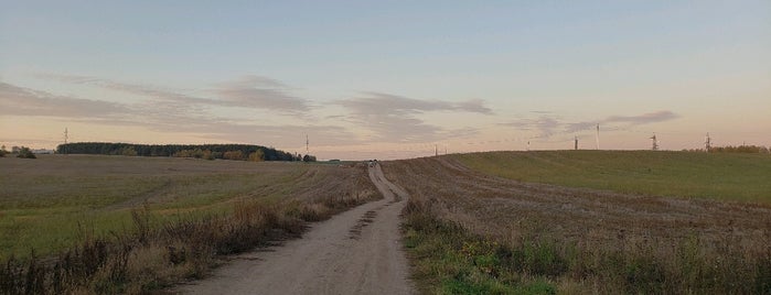 поле is one of สถานที่ที่ Stanisław ถูกใจ.