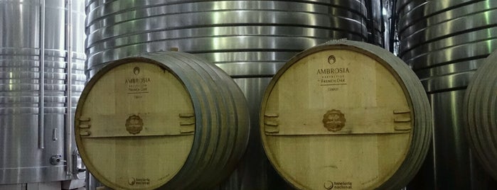 Bodega Norton is one of Mendoza Wine.
