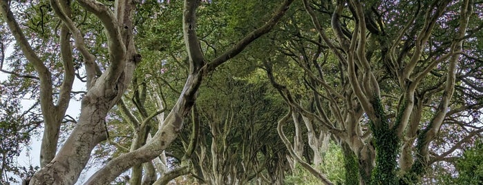 The Dark Hedges is one of In Dublin's Fair City (& Beyond).